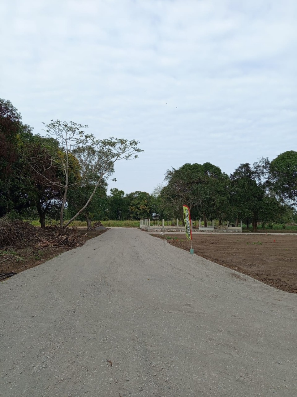Terreno 6